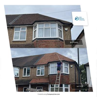 Roof Clean  - Moss Removal - Gutter Clean using Honda 15lpm Low Pressure Washing Machine