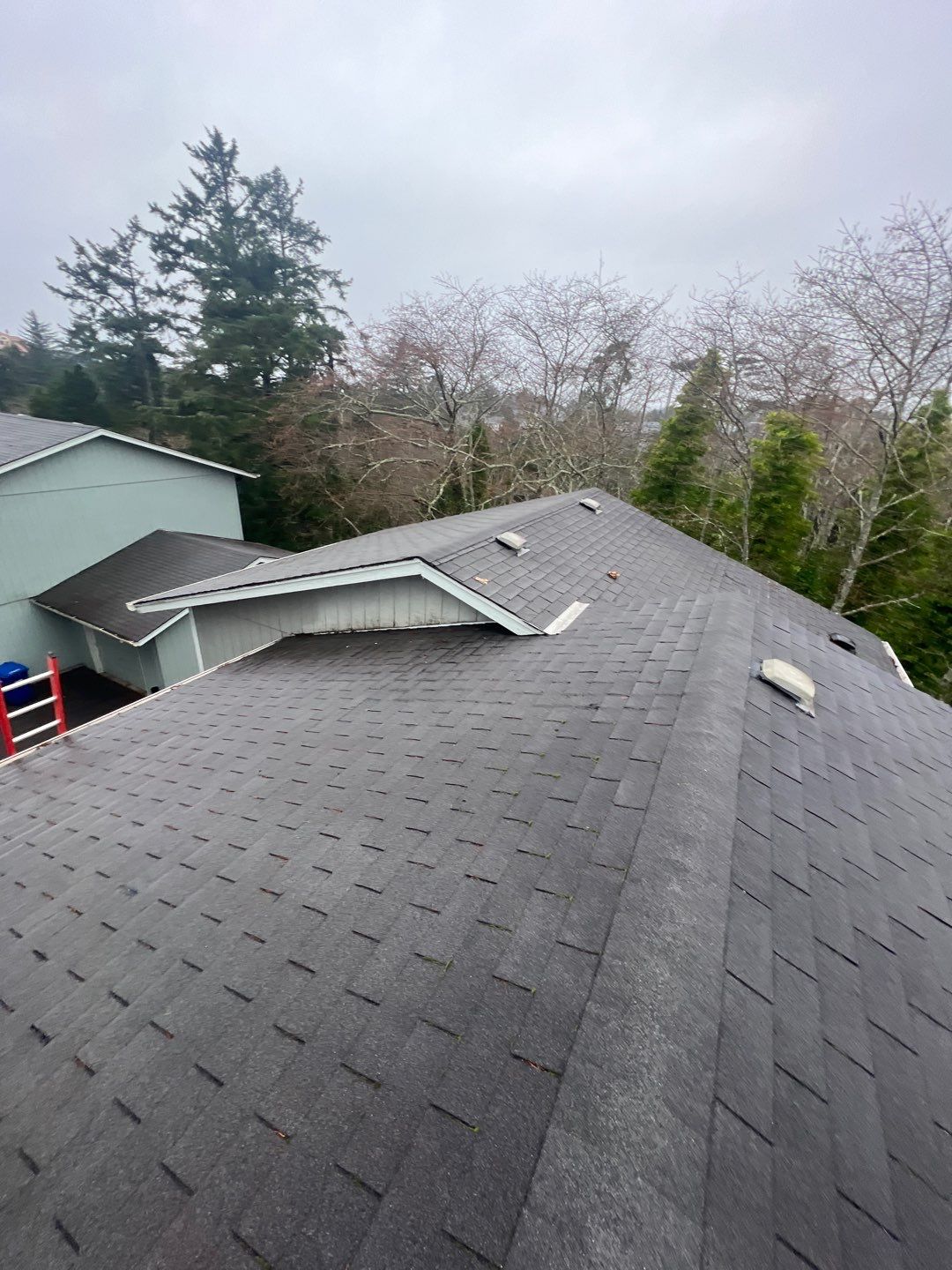 Residential Roofing Installation using Malarkey Highlander (Color: Midnight Black) by Orezona Building & Roofing Company, Inc.
