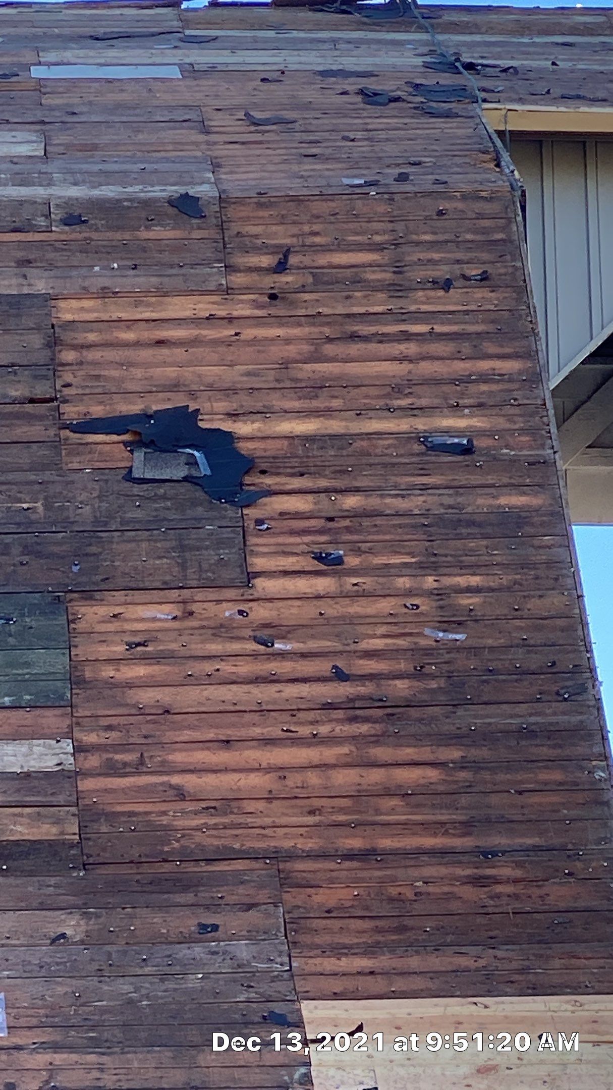 Roof Replacement with upgraded needed exhaust ventilation using Malarkey Vista Class III Impact Resistant Shingles in Black Oak color by Gorilla Exteriors Contracting, LLC