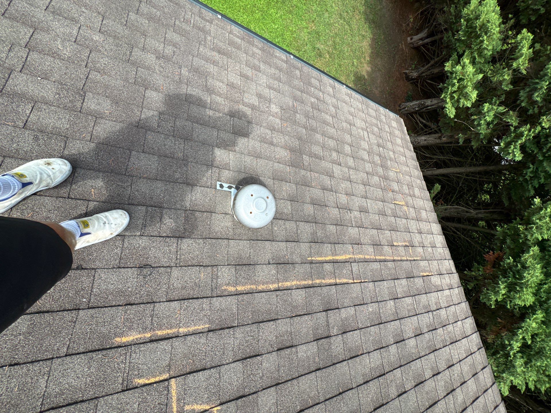 Re-Roof in Frederica by Potomac Custom Remodeling 