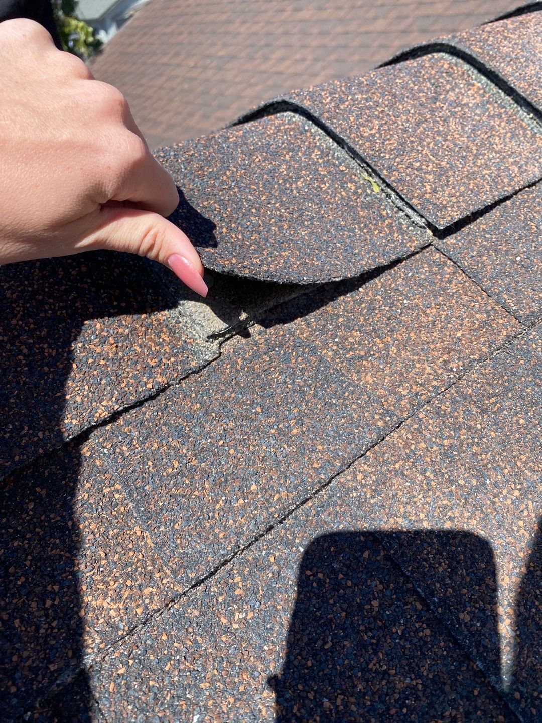 Sylvia's Full Re-roof by All Storm Roofing & Construction