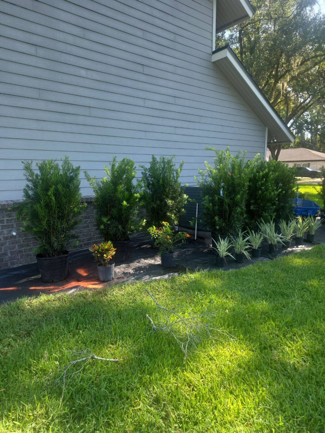Deerwood Resident | Landscape Update by ProGreen Services
