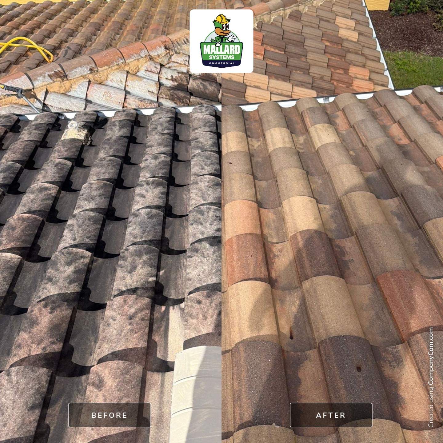 Tile Roof and Concrete Cleaning in Gotha by Mallard Systems