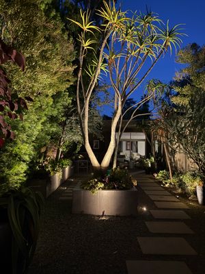 Pasadena Outdoor Living Space Transformation 