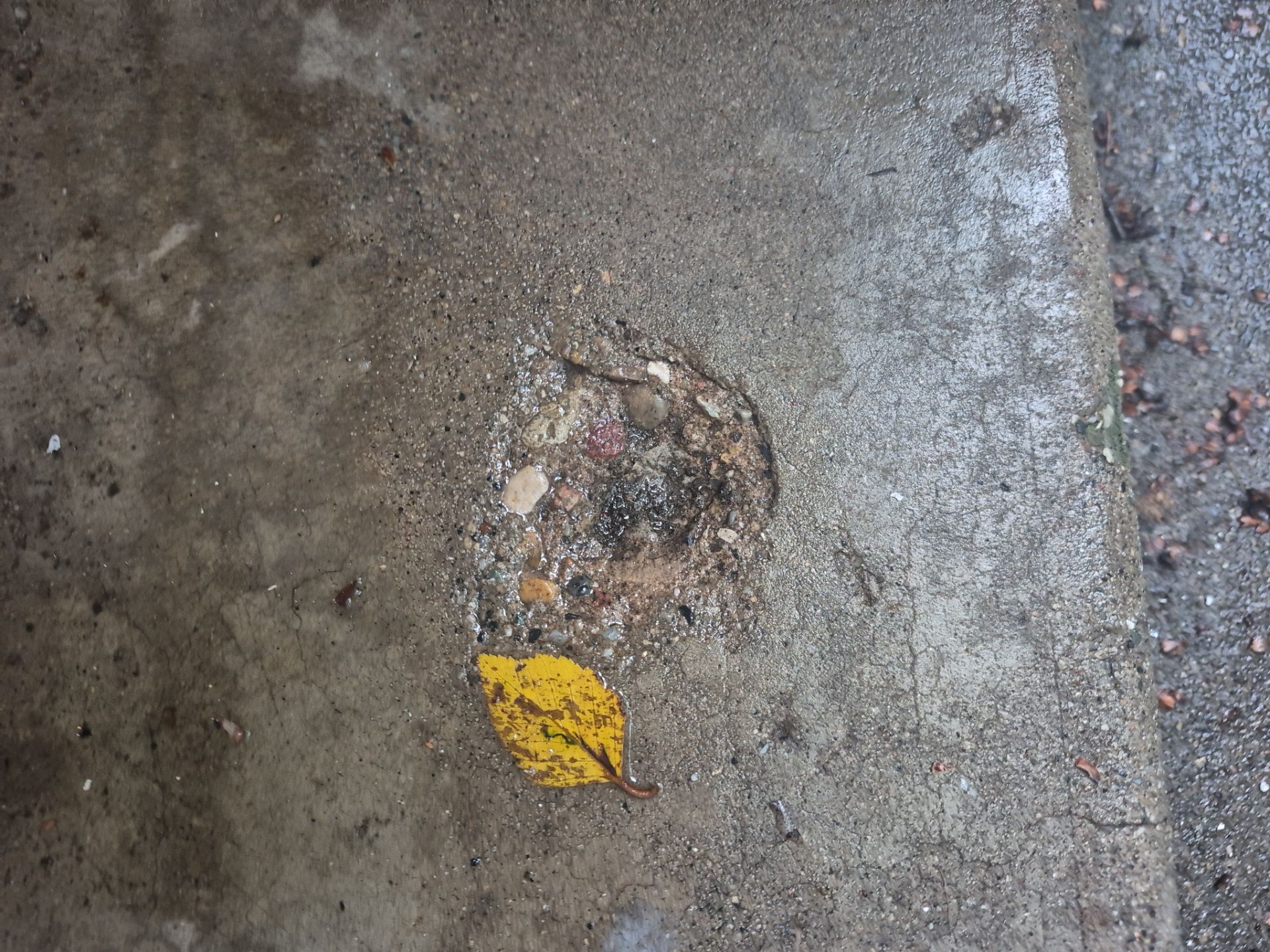 Project in Perry by Wise Coatings of Central Michigan