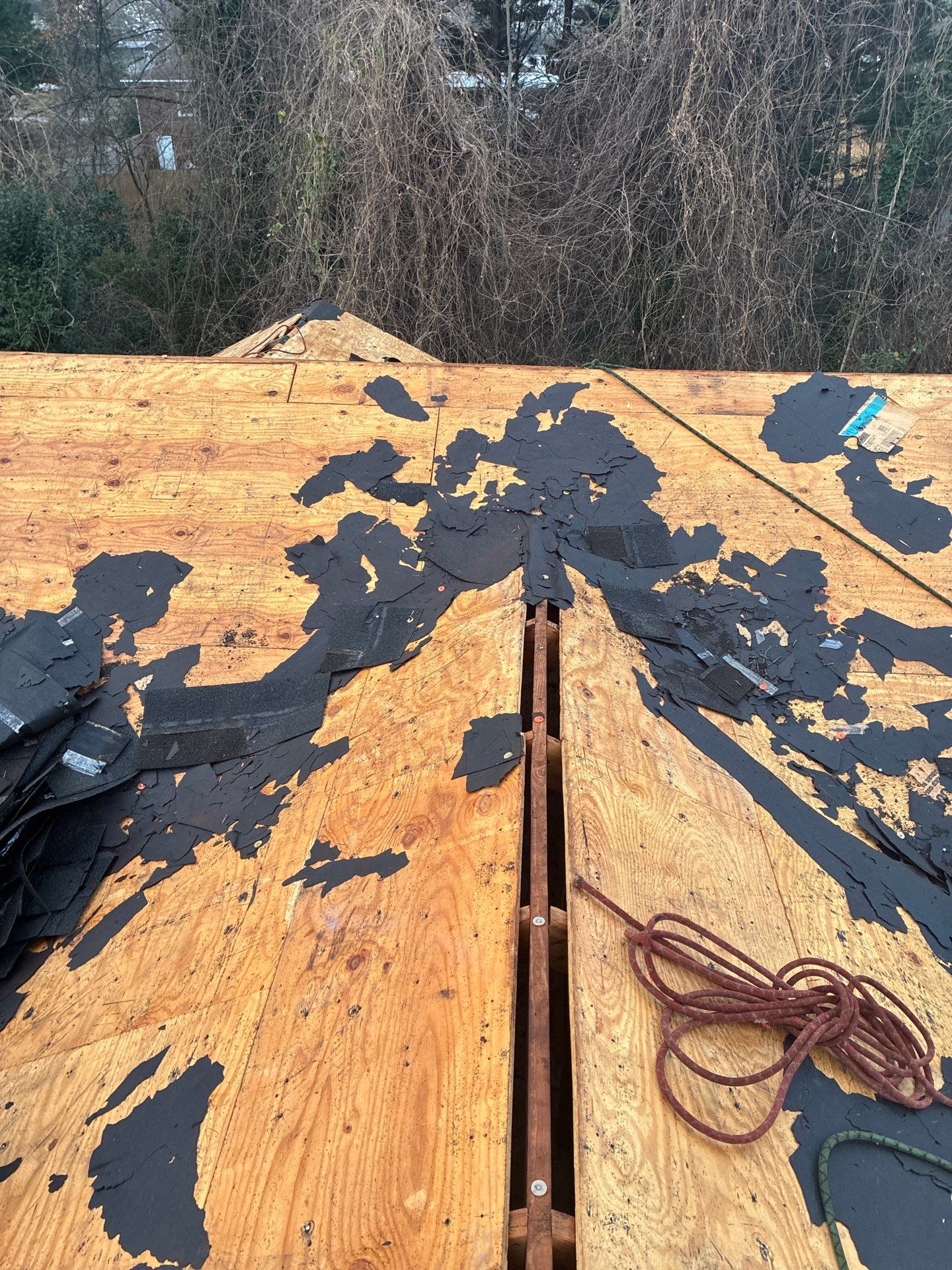 Susan Collins by United Contracting and Roofing