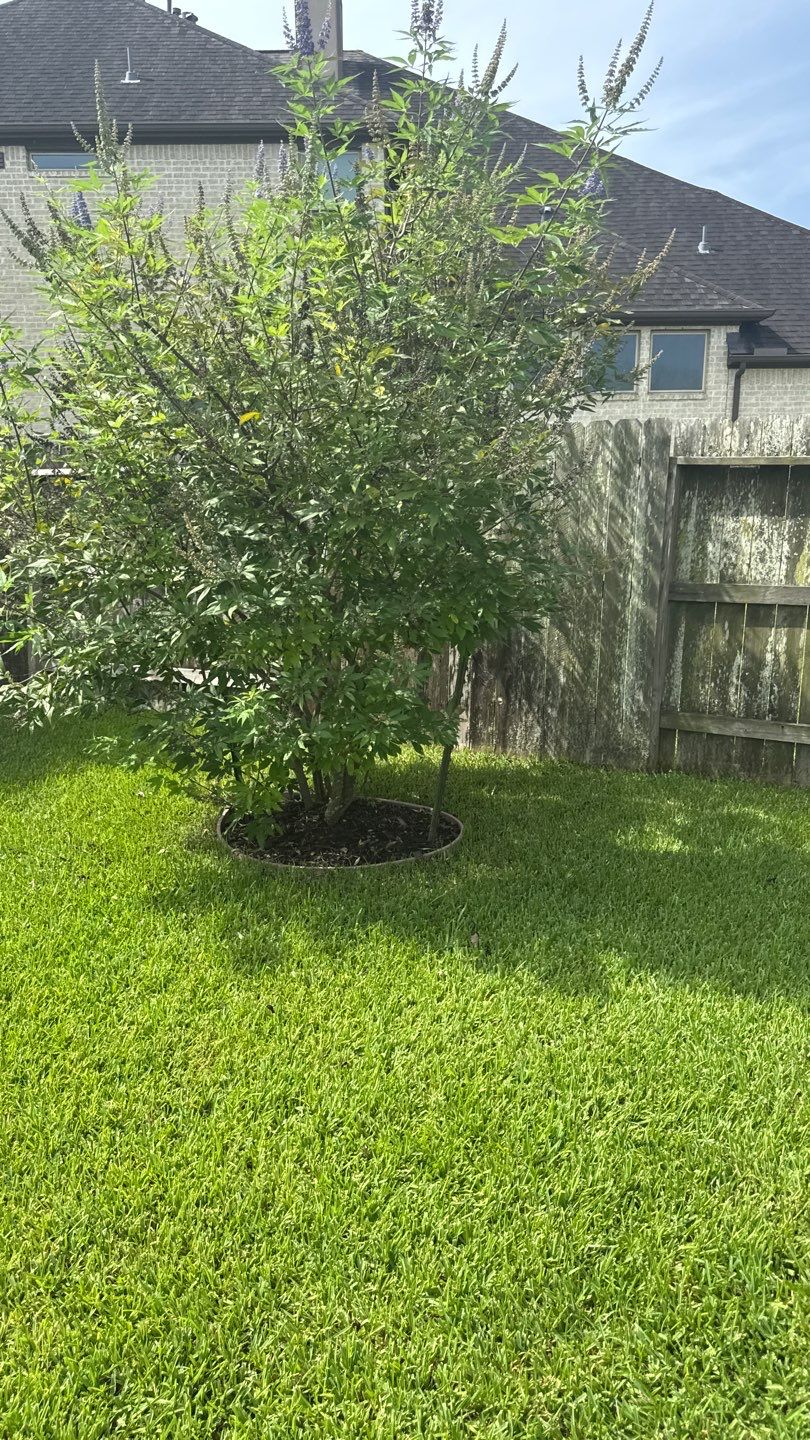 🌿 Mr. Ken’s Front Yard Flower Bed Enhancement by Texas Urban Elements