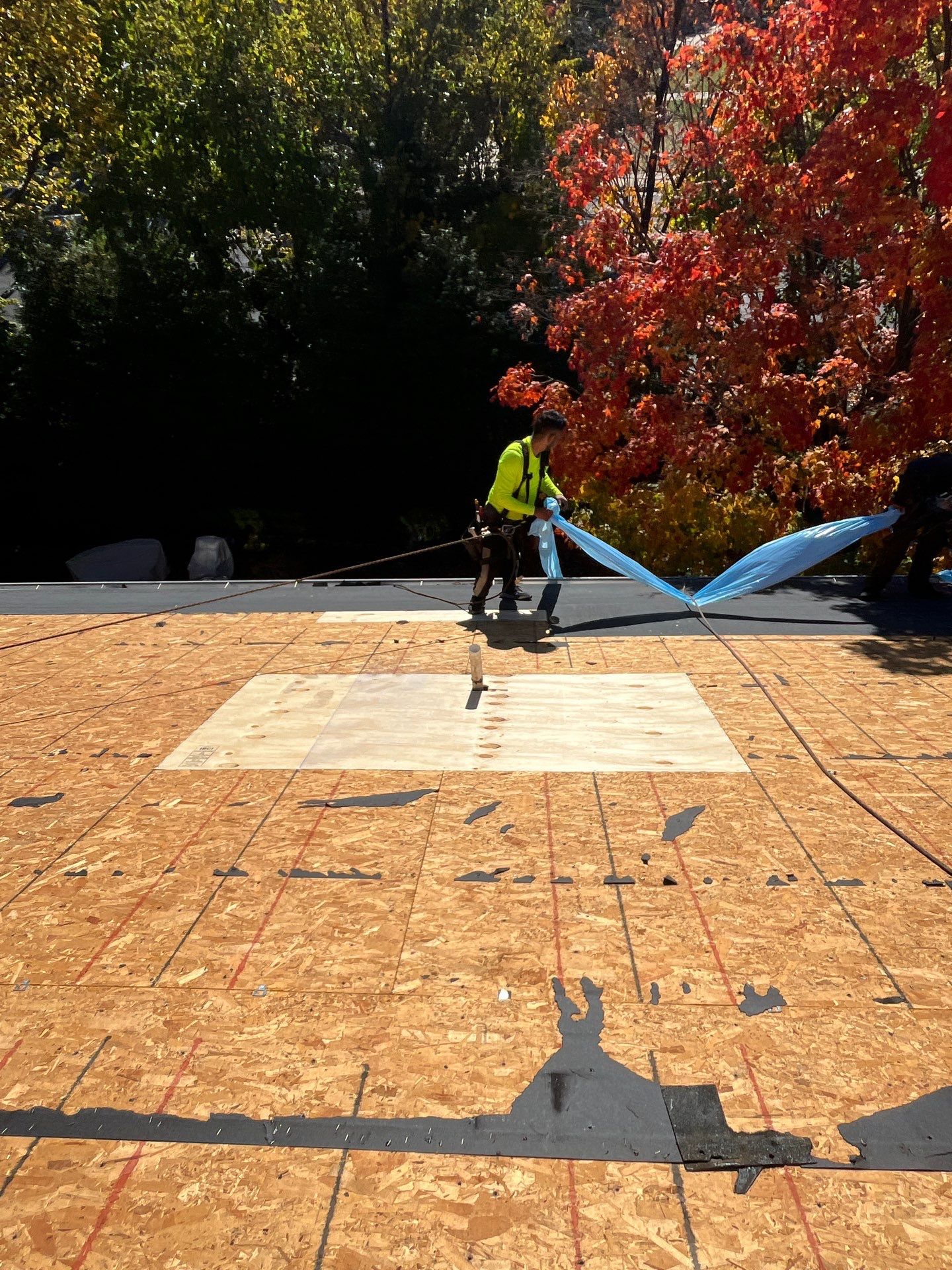 Alexandria: Residential Roof Replacement with CertainTeed Landmark Pro Designer Shingles in Max Def Moire Black by RM Banning, Inc.