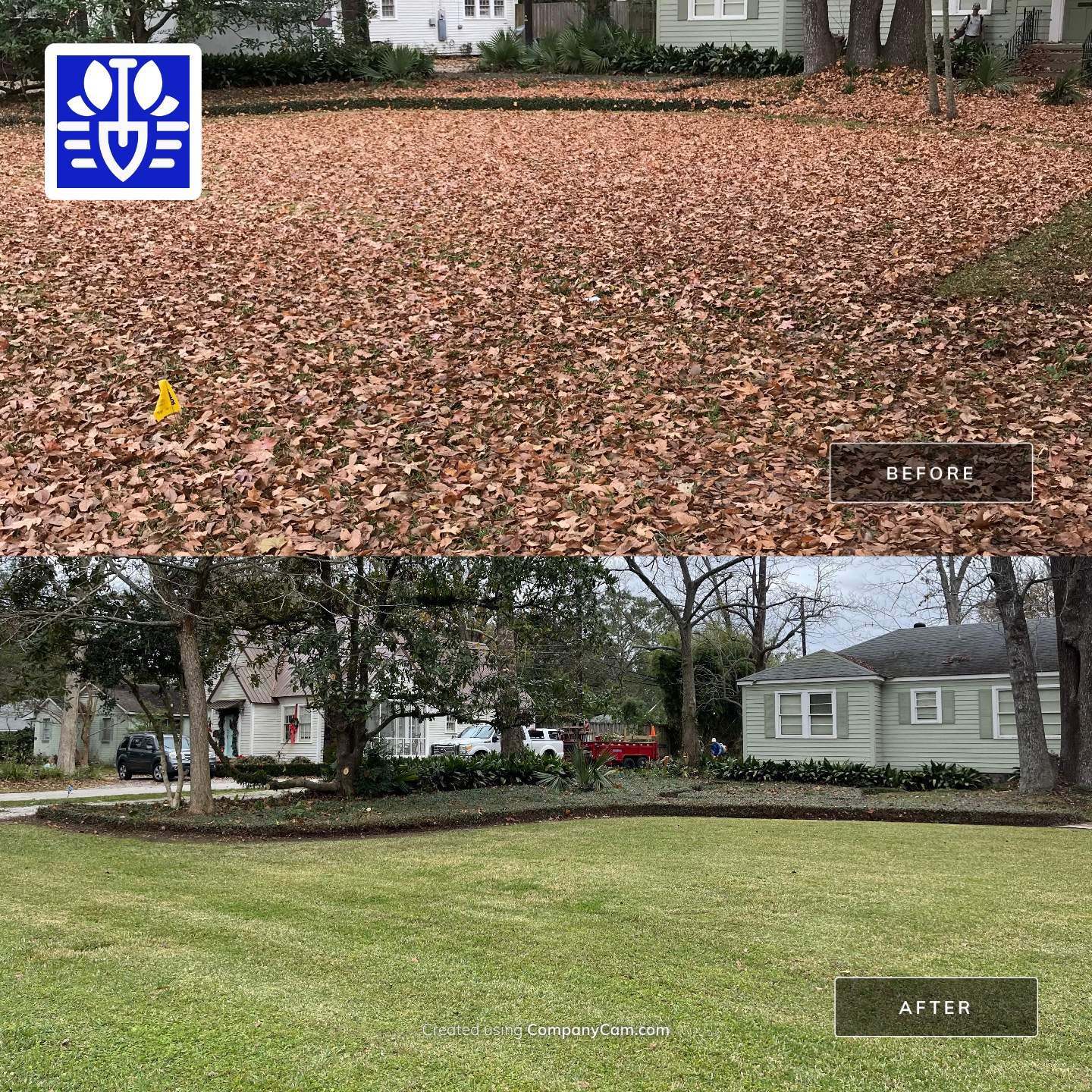 WINTER SERVICES: FULL LEAF JOB by CutScape, LLC.