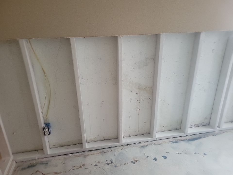 Mold Damage by Accountable Home Services
