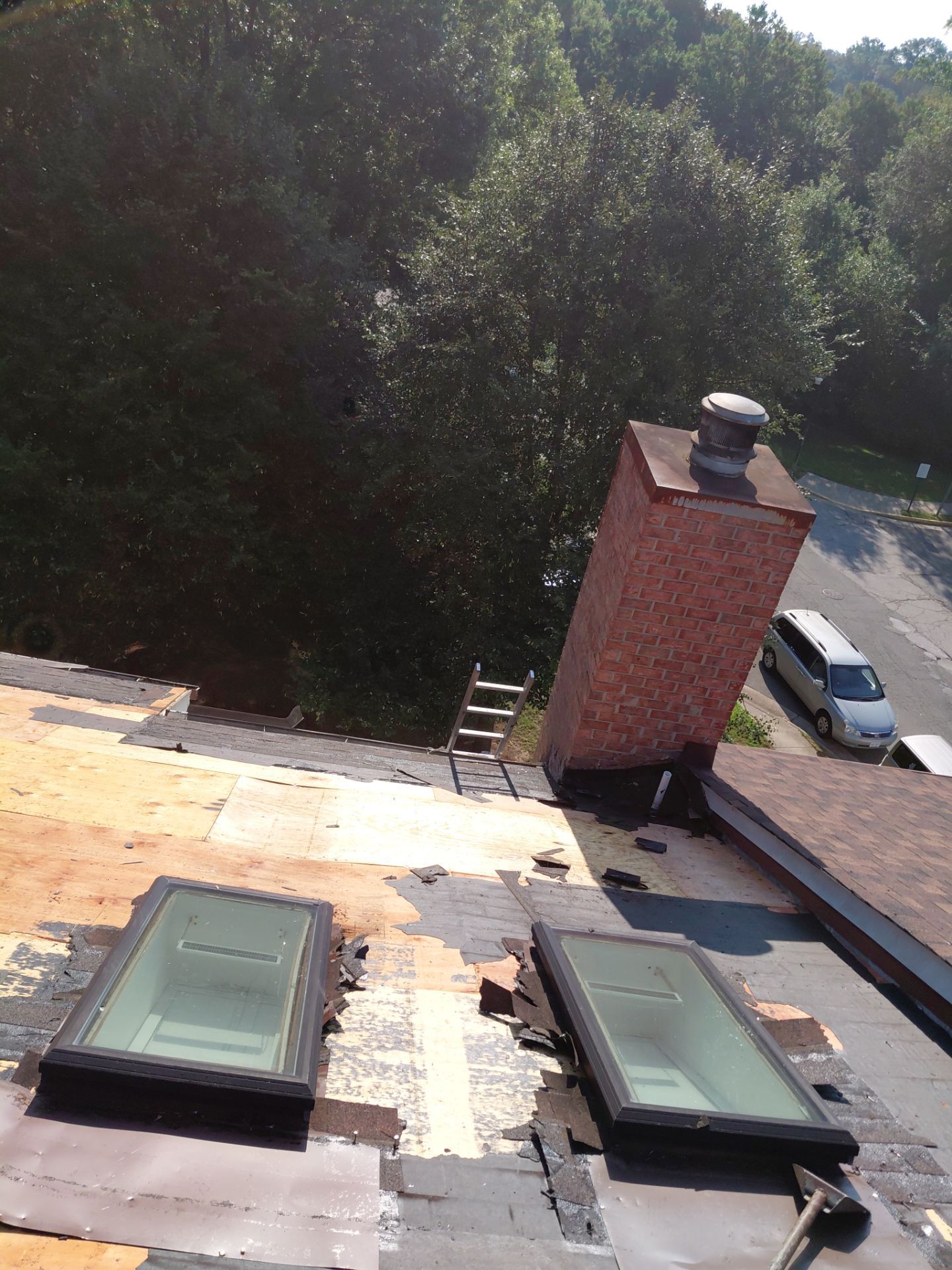Alexandria: Residential Roof with CertainTeed Landmark Pro in Max Def Burnt Sienna by RM Banning, Inc.
