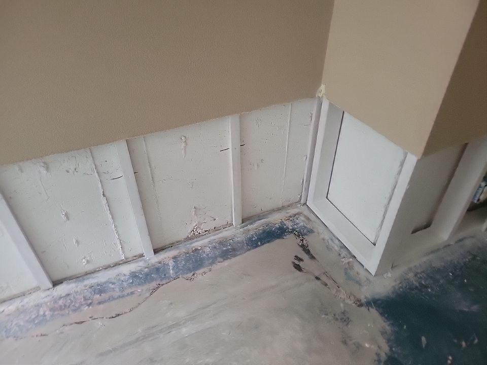 Mold Damage by Accountable Home Services