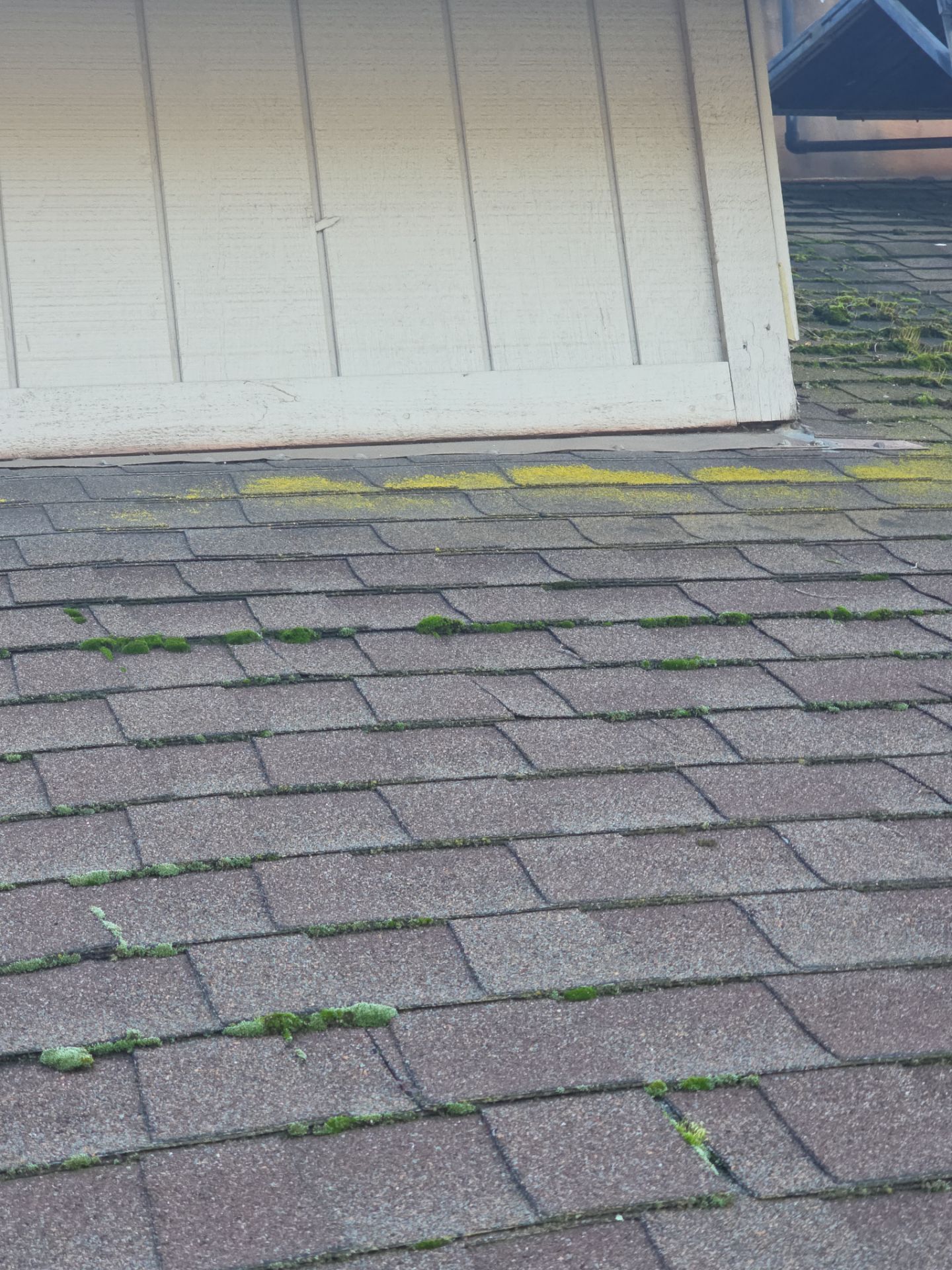 Roof Rejuvenation using Roof Maxx Treatment by Roof Maxx of Folsom