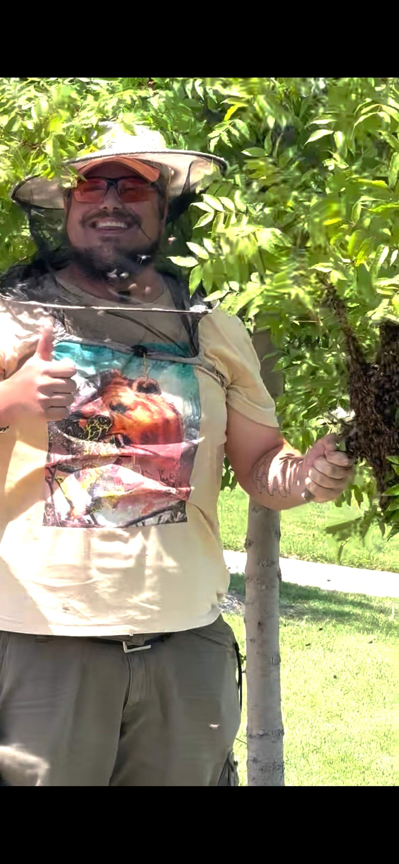 Swarm on a Branch by Rockwall Honey Bee Company