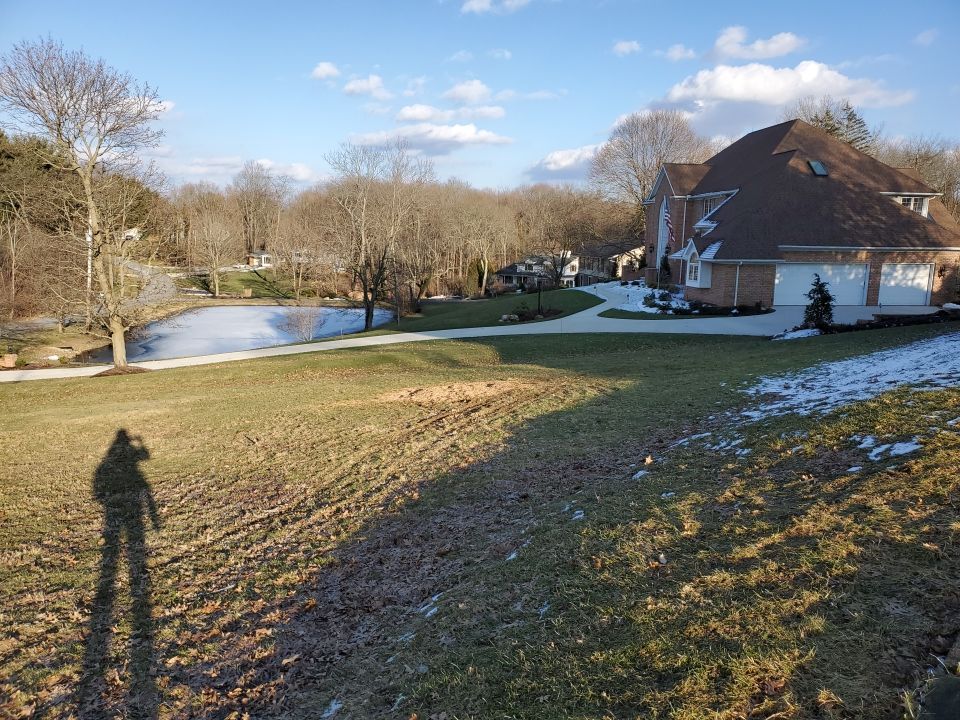 Tree Removal using Tree Removal by Mike Jones & Sons Tree Service LLC 