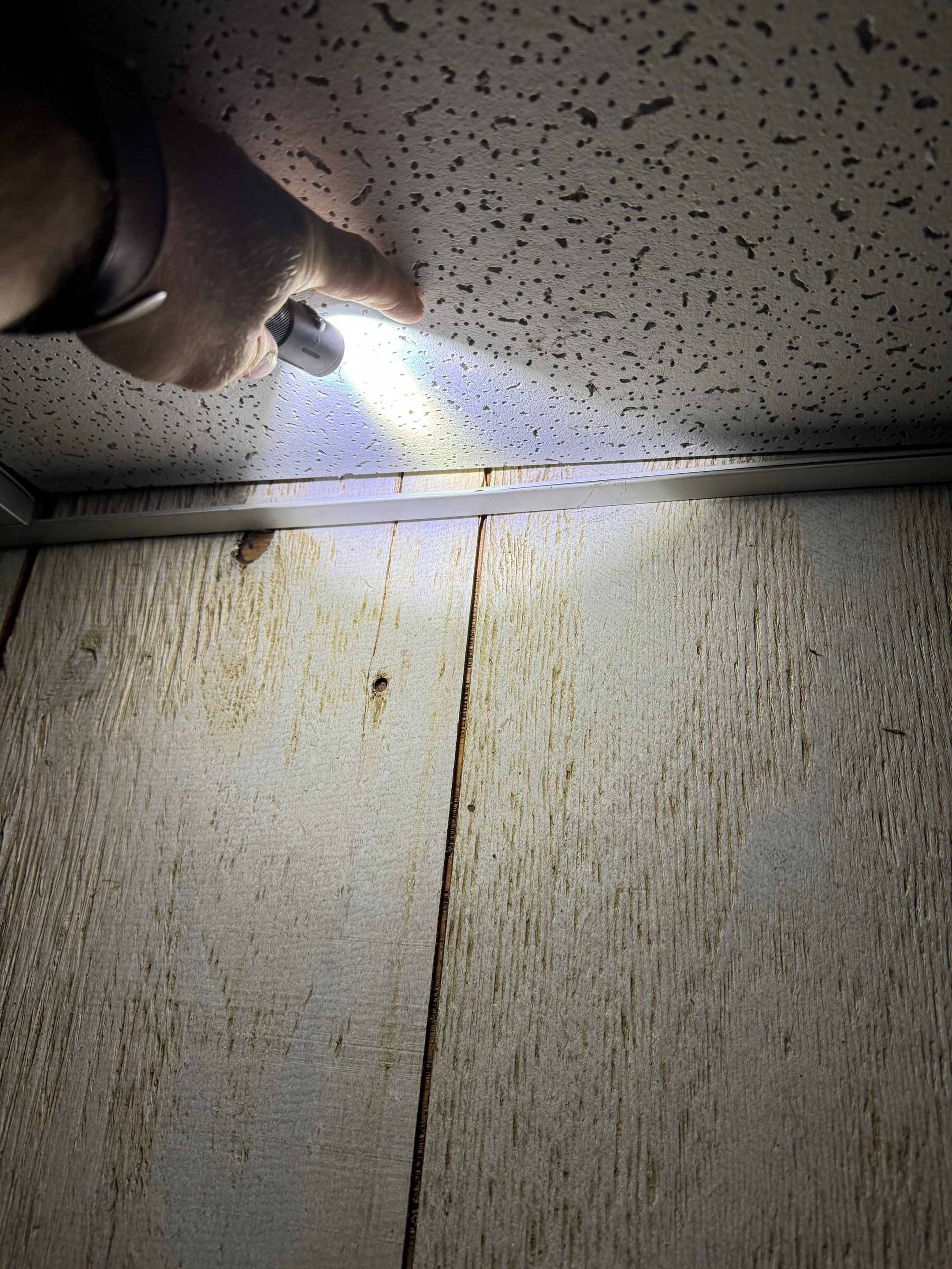 Basement Mold Remediation by Home Guarantee, LLC