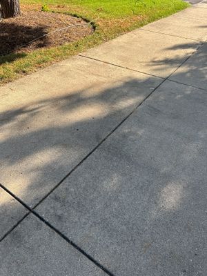 Project in Trout Valley