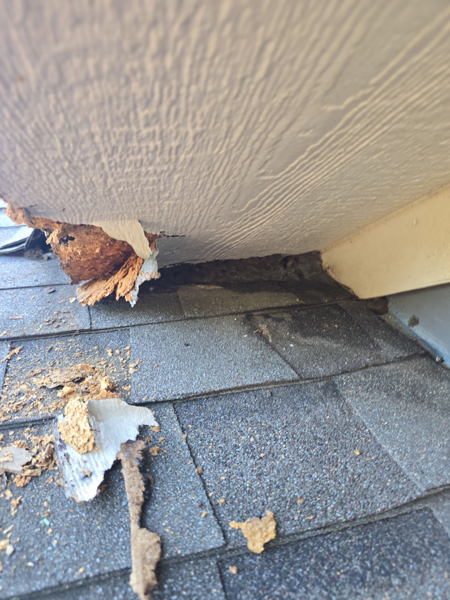 Dog Door Replacement by First Out Roofing 