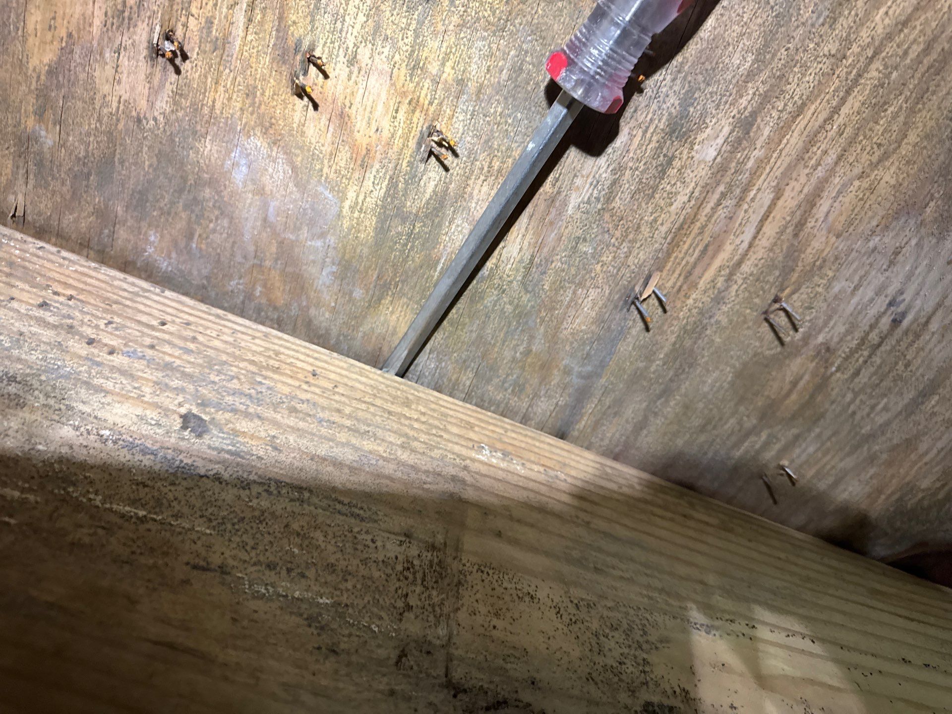 Project in Williamsburg by Patriot Crawl Space Repairs