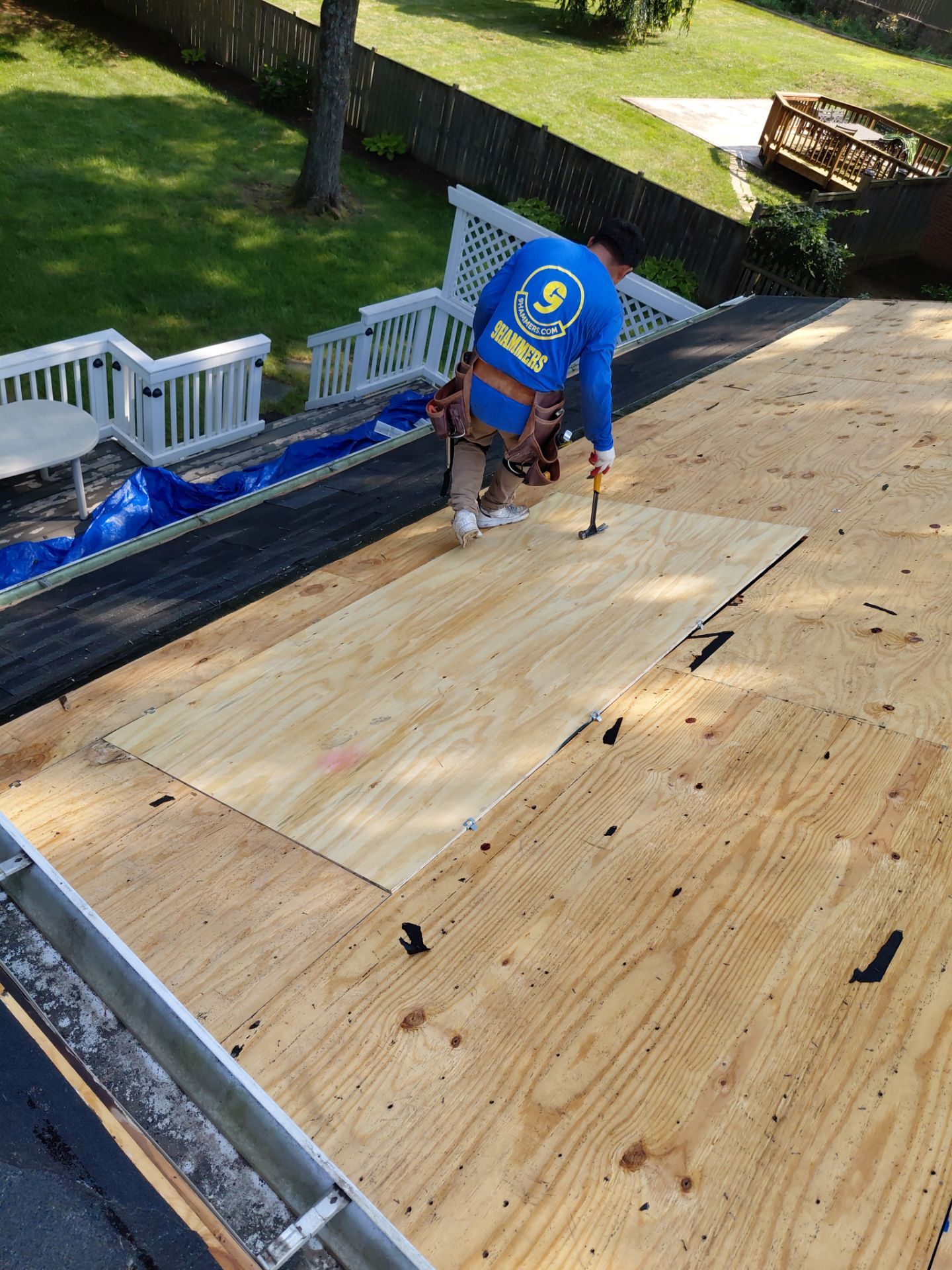Alexandria: Residential Roof Replacement with GAF Timberline HDZ in Nantucket Morning by RM Banning, Inc.