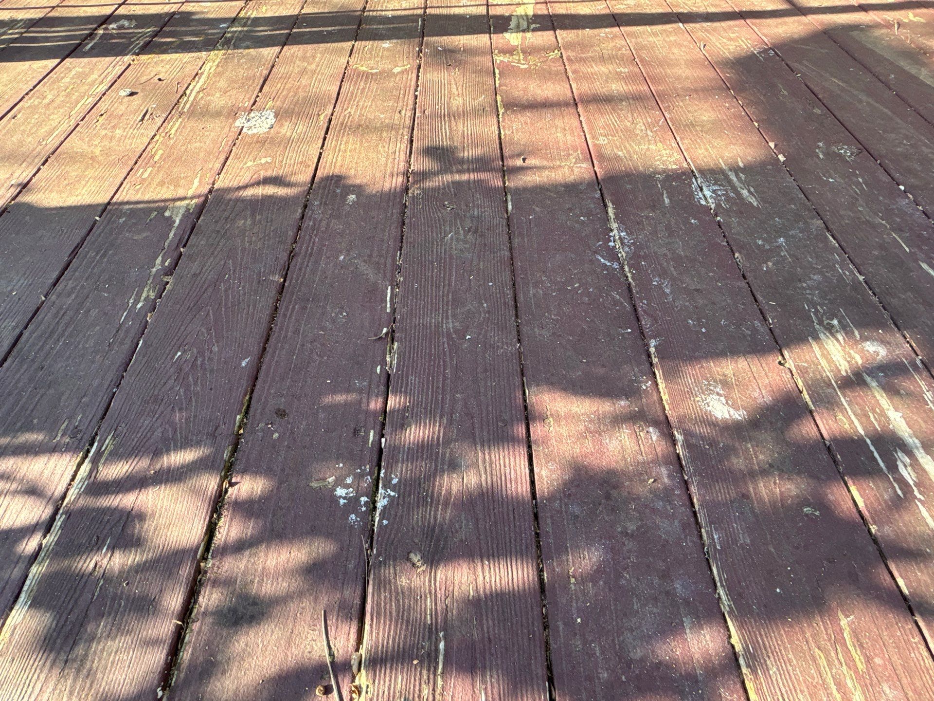 Coated Deck using Wood Sealant + Stain by DuraSeal