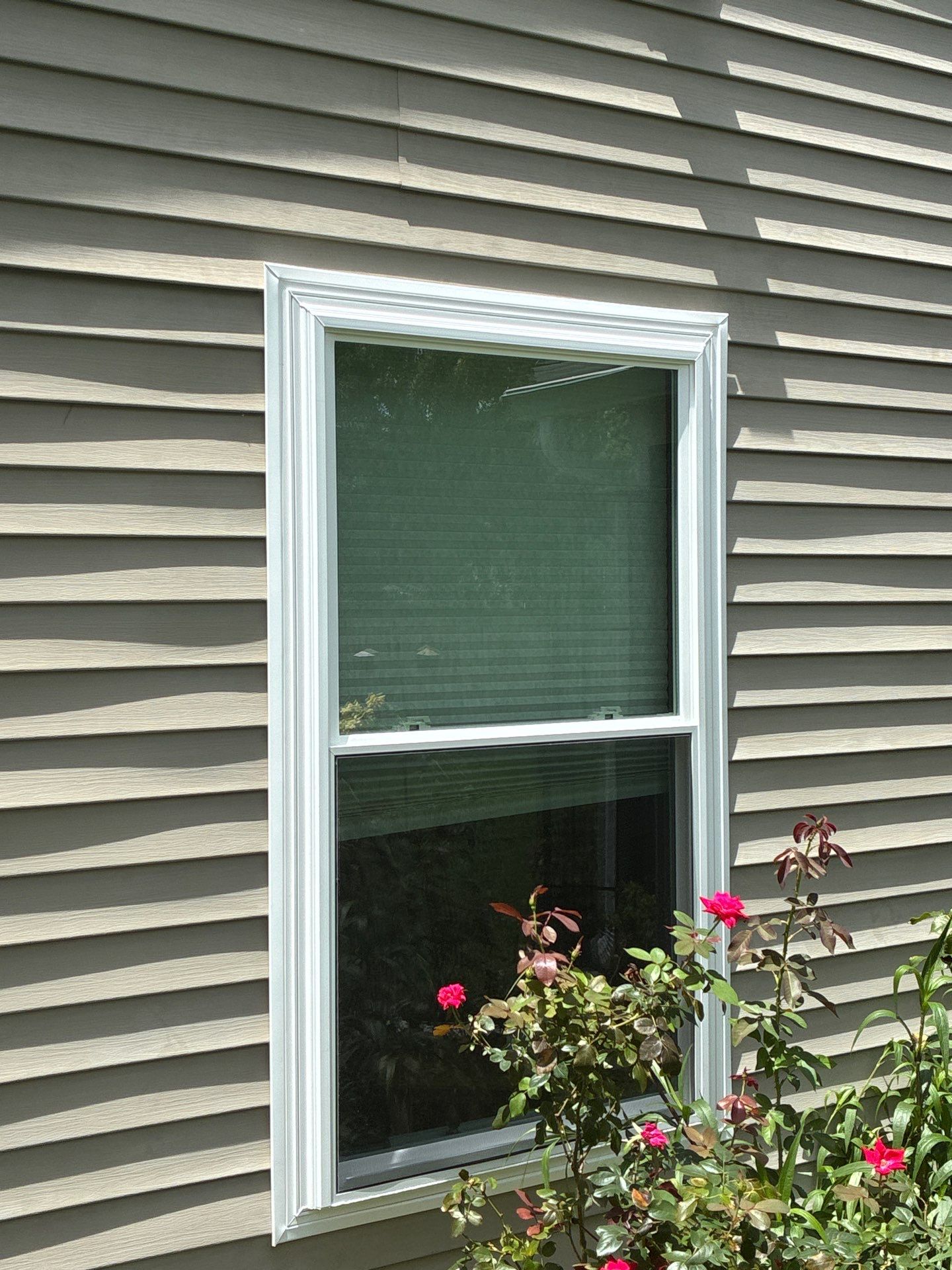 White Vinyl Window Replacement and Exterior Siding Refresh in Summerville by Top Tier Charleston