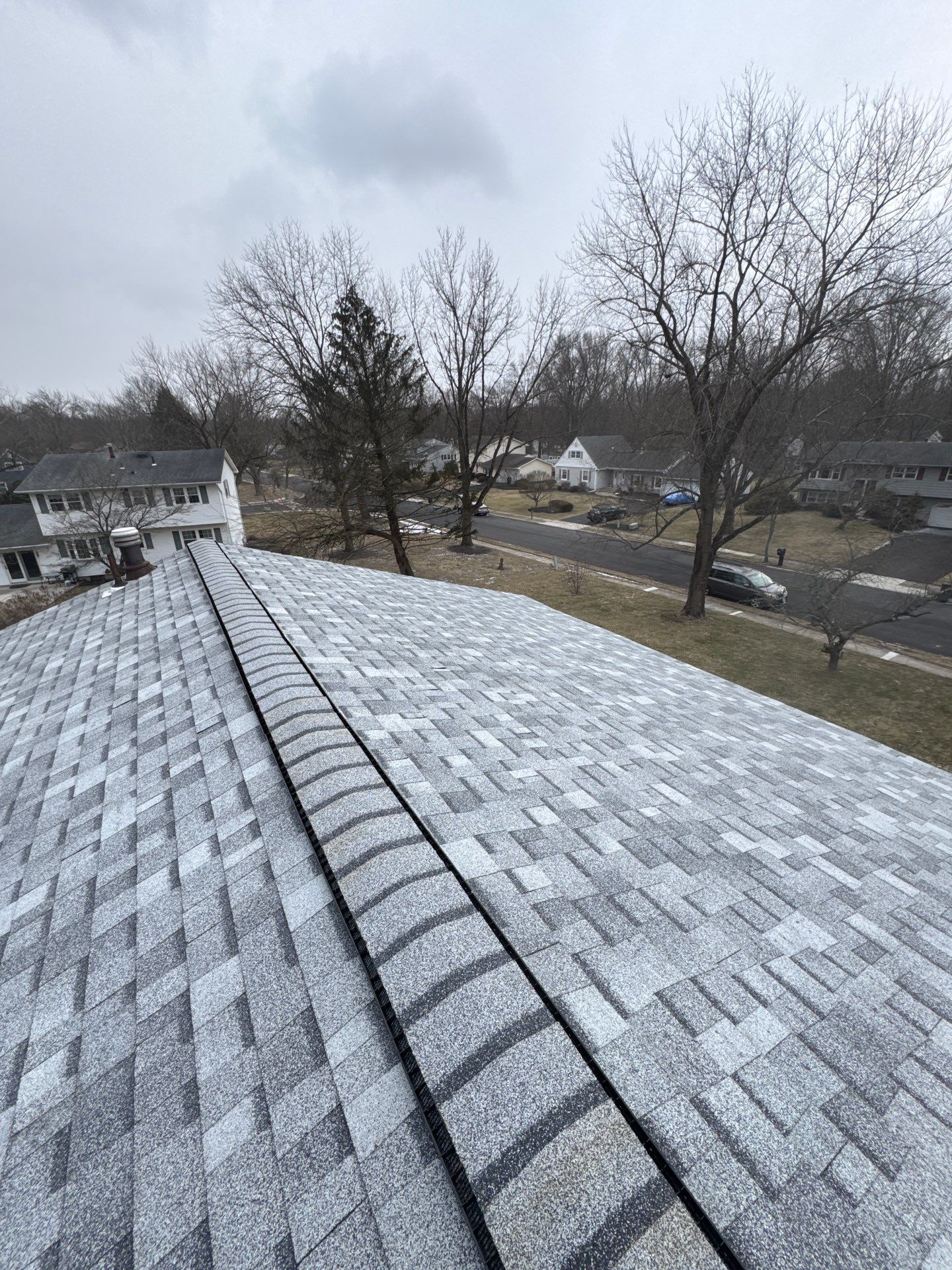 Silver Birch Shingles by Reimagine Roofing