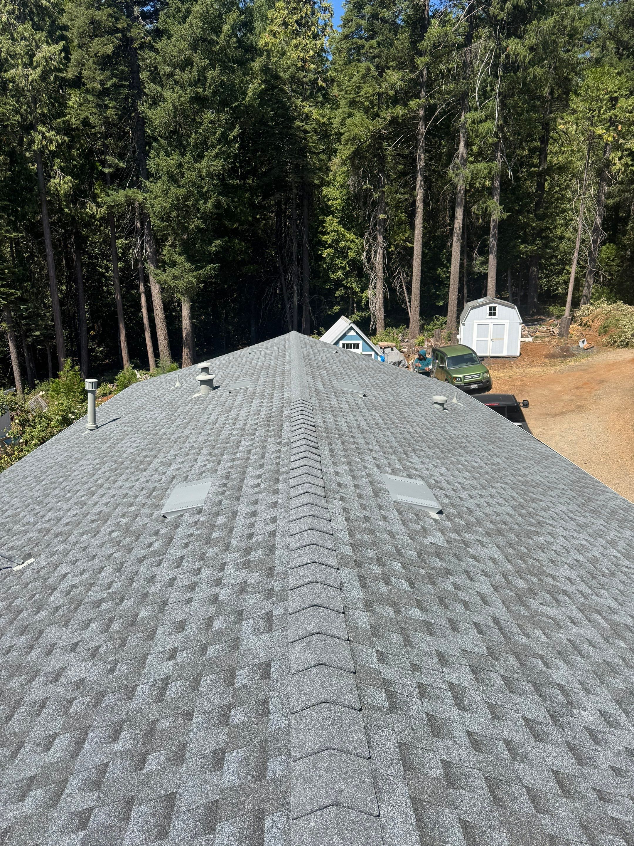 Magalia Shingle by Butte Roofing Company License #567600