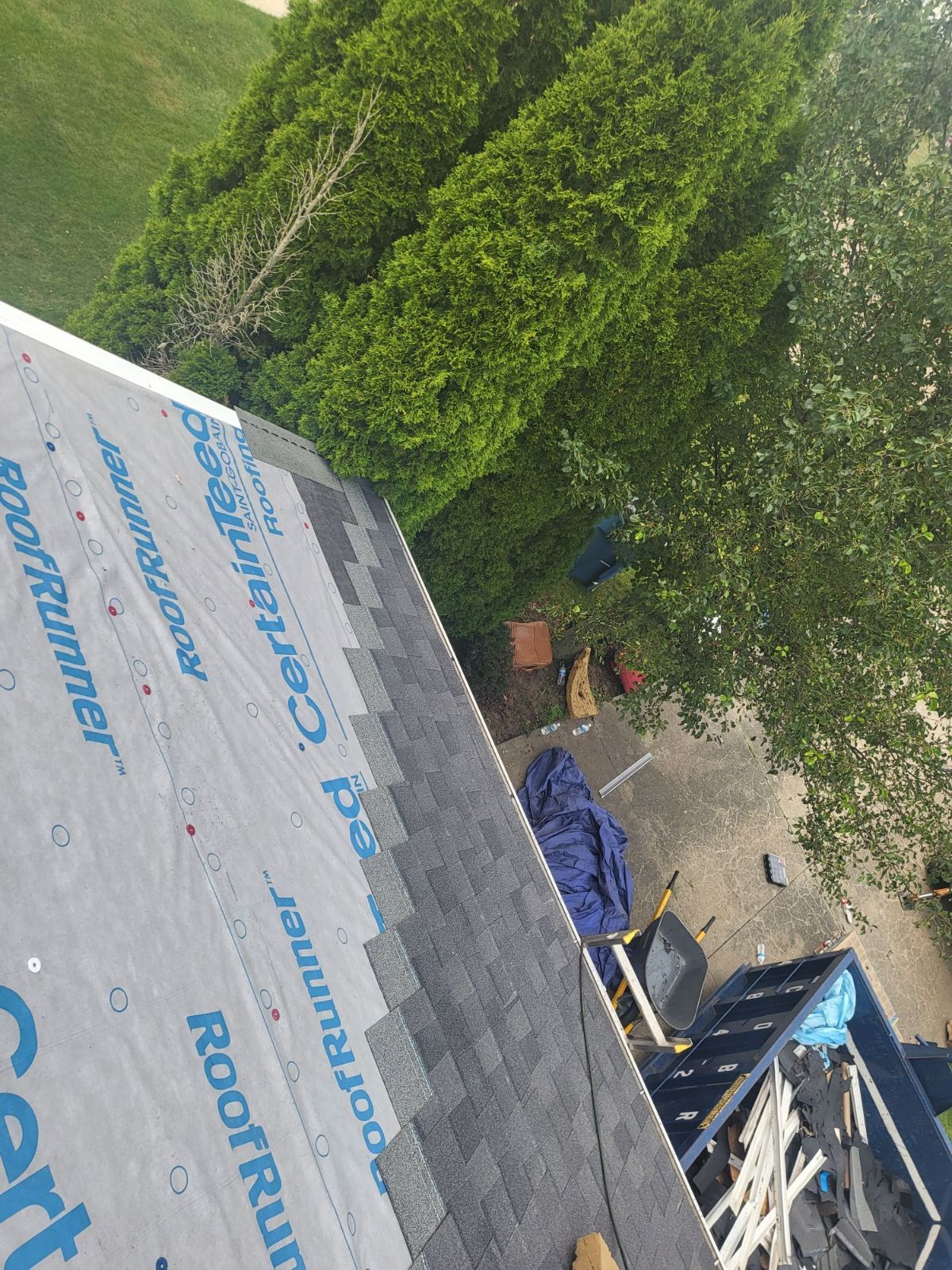 Davonne Bird by Silver Leaf Contracting 