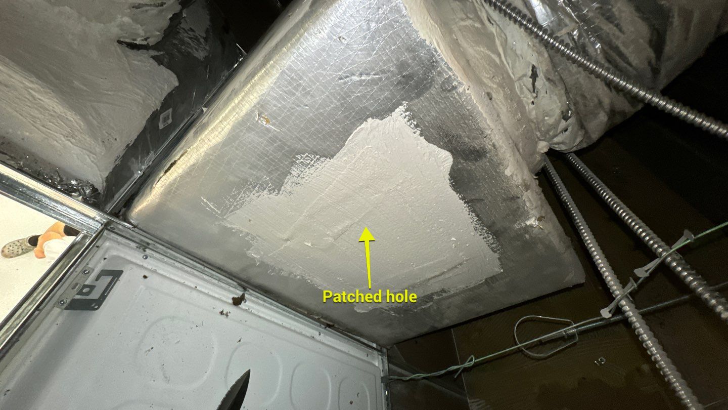 Air Duct Cleaning in Orlando by Hygienic Air, Inc