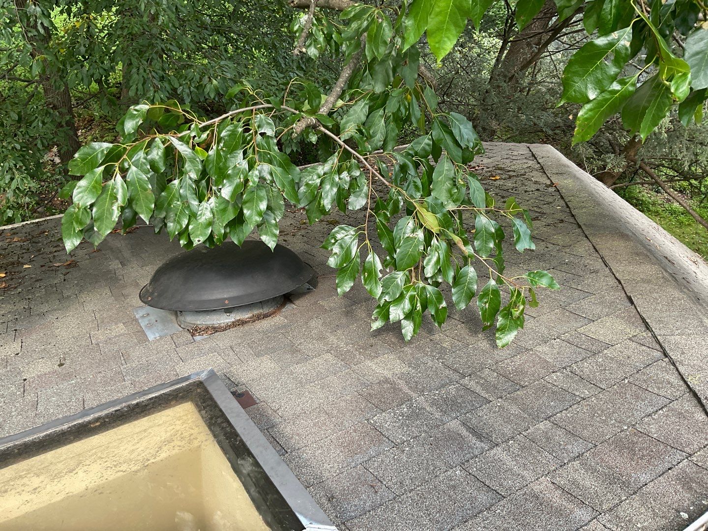 Install new shingles and new skylights  by Alpha Design Services