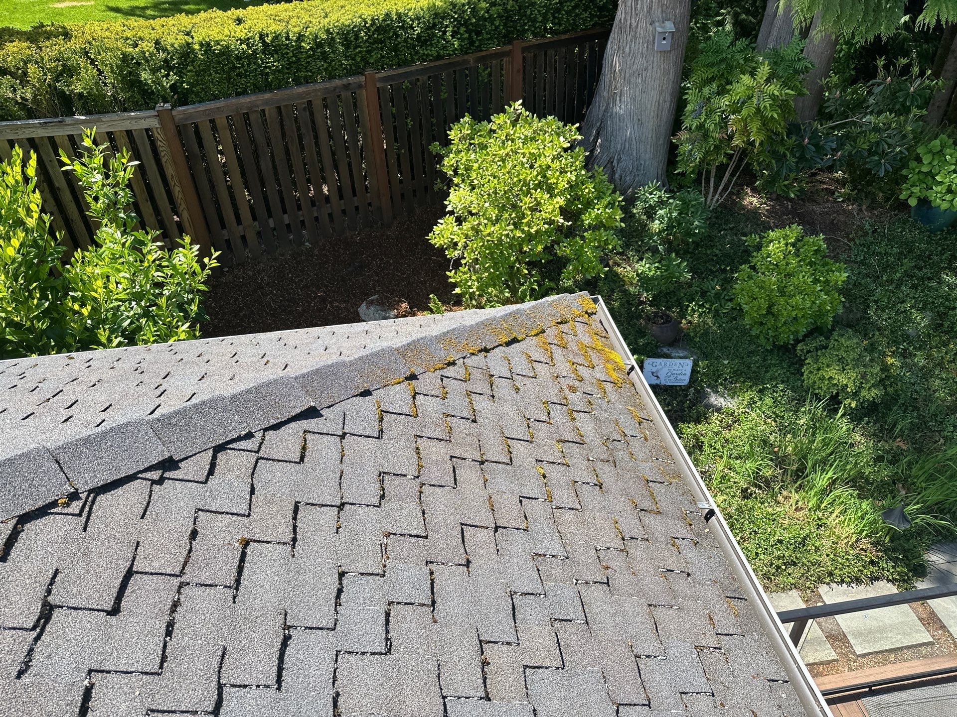 AGS Roof Wash in Sammamish by WindowWorks