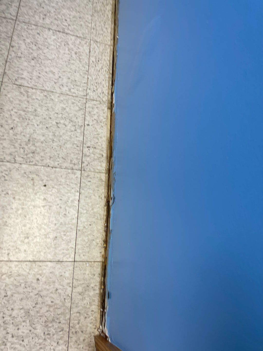 Cat Hospital Project in Pittsburgh by Floors in a Day, Inc