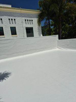 Project in St. Petersburg 33704