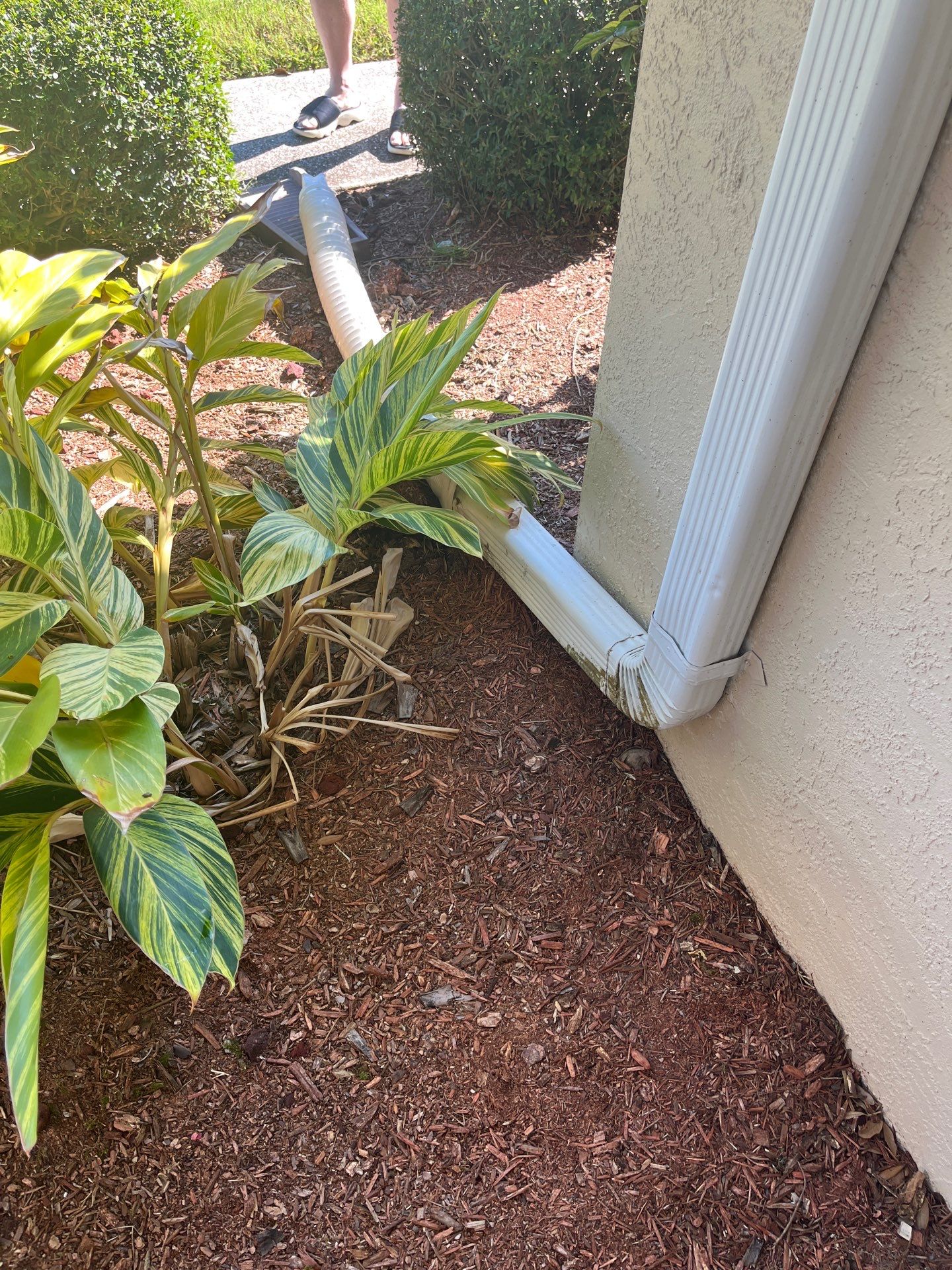 White Seamless Gutters using 6 Inch Seamless Gutters in Sarasota FL by Gutter Professors