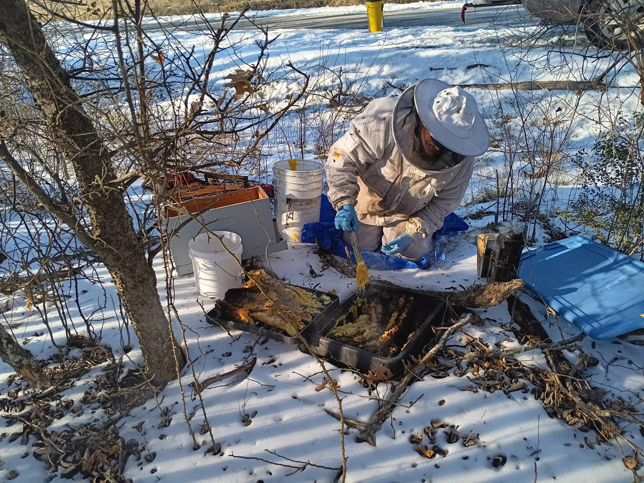 Winter Freeze Bees by Rockwall Honey Bee Company