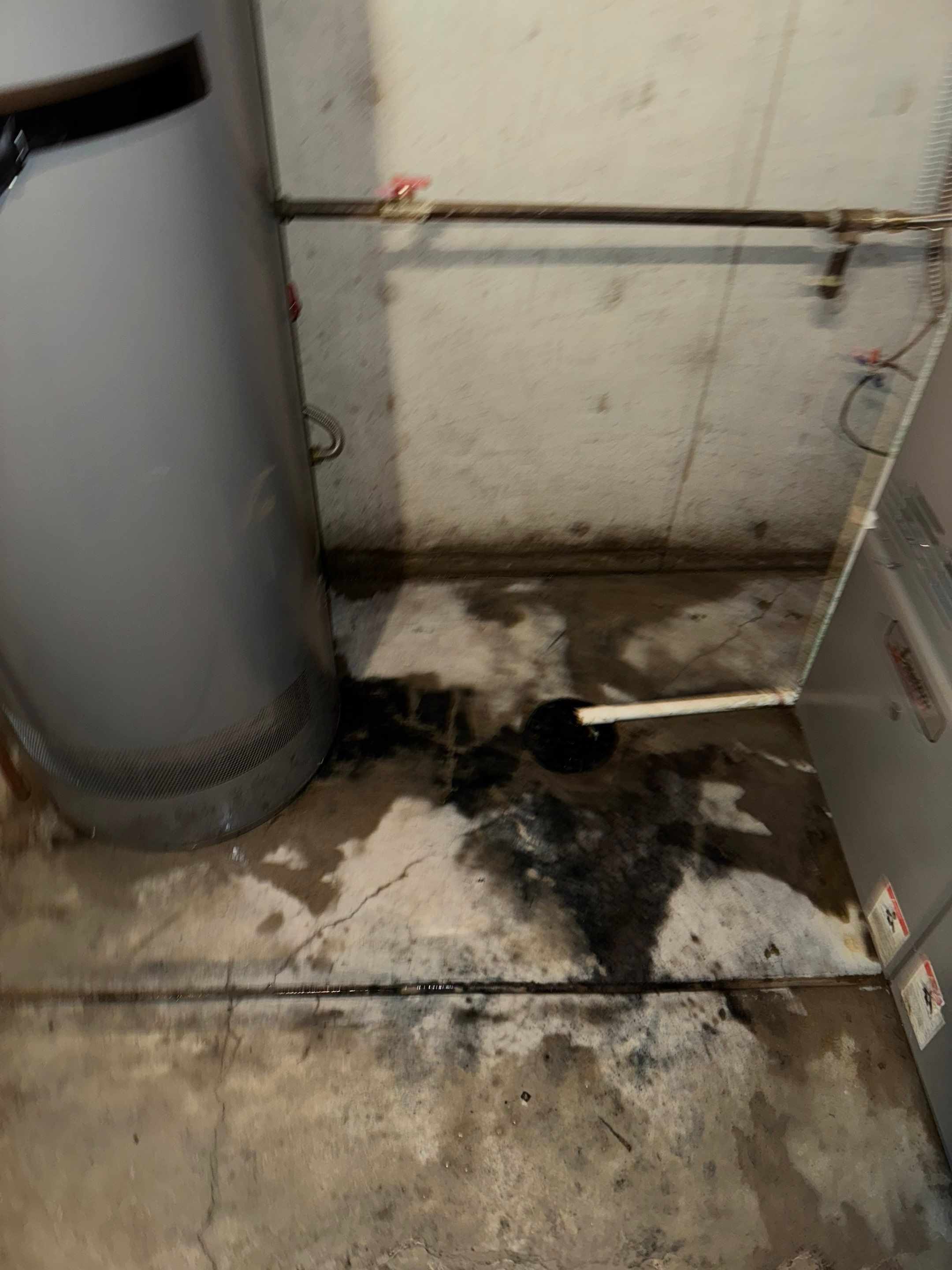 Water Damage in Wheat Ridge, CO by Alpha Restoration 