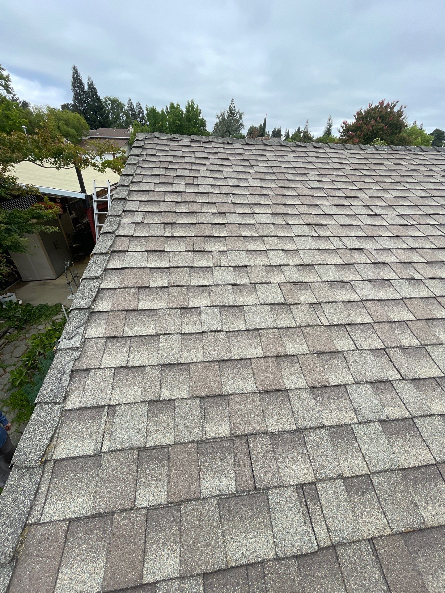 Roof Rejuvenation using Roof Maxx Treatment by Roof Maxx of Folsom