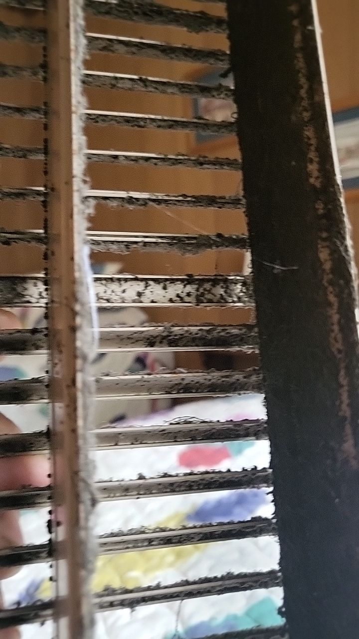 HVAC Mold Remediation & Indoor Air Restoration in Bethany Beach, DE by Healthy Home Solutions