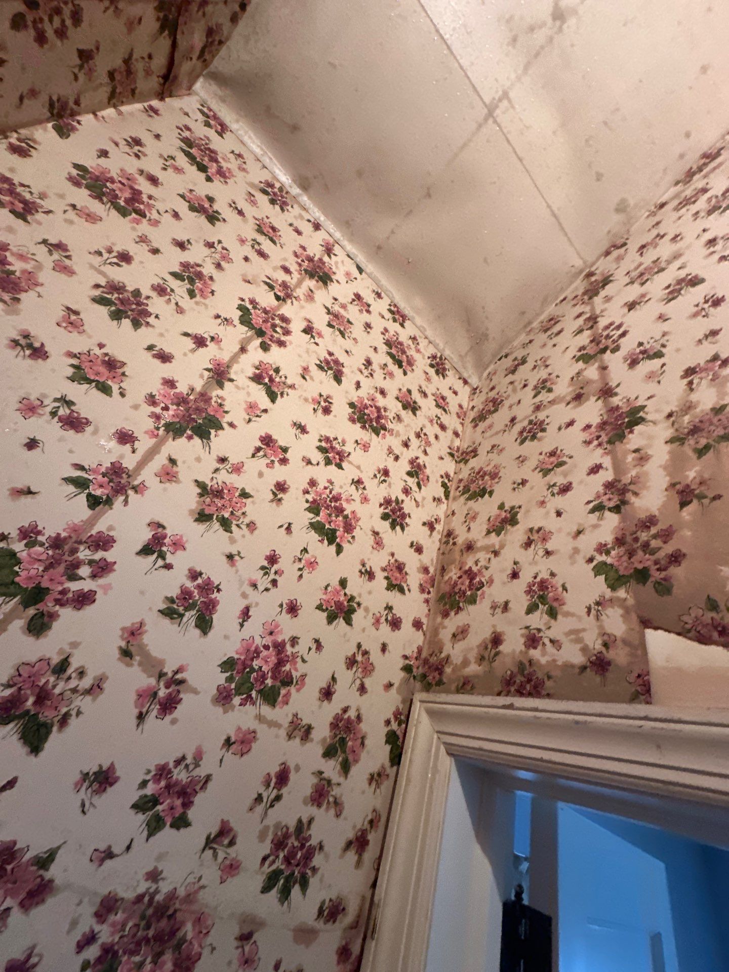 Wallpaper Removal and Interior Painting  by Heiler Painting