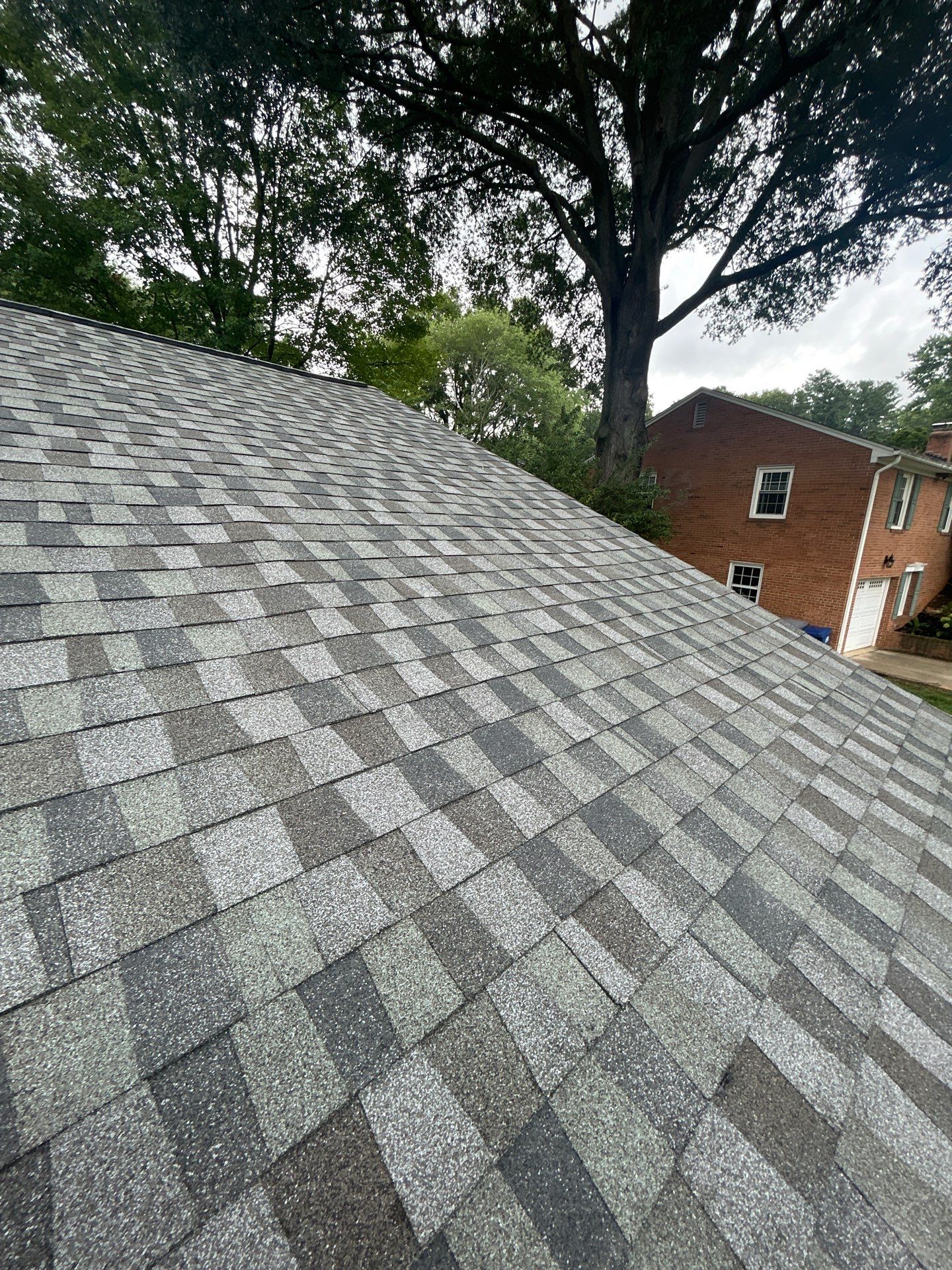 Alexandria: Residential Roof Replacement with GAF Timberline HDZ in Nantucket Morning by RM Banning, Inc.