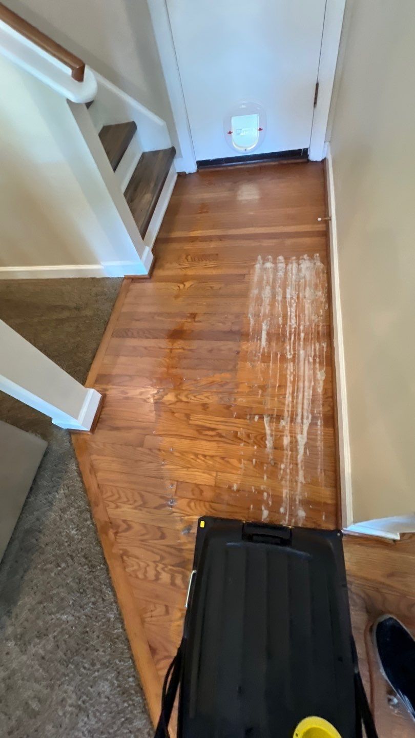 Hardwood Renewal  using Finish Em by Monster Clean