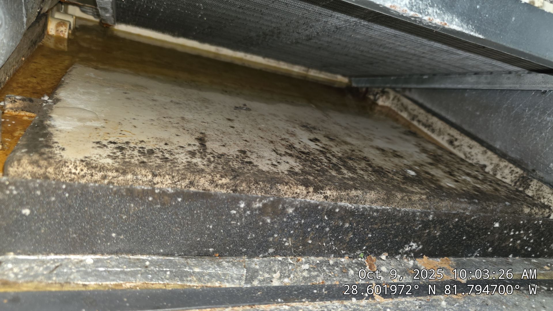 Air Duct and Dryer Vent Cleaning in Groveland by Hygienic Air, Inc