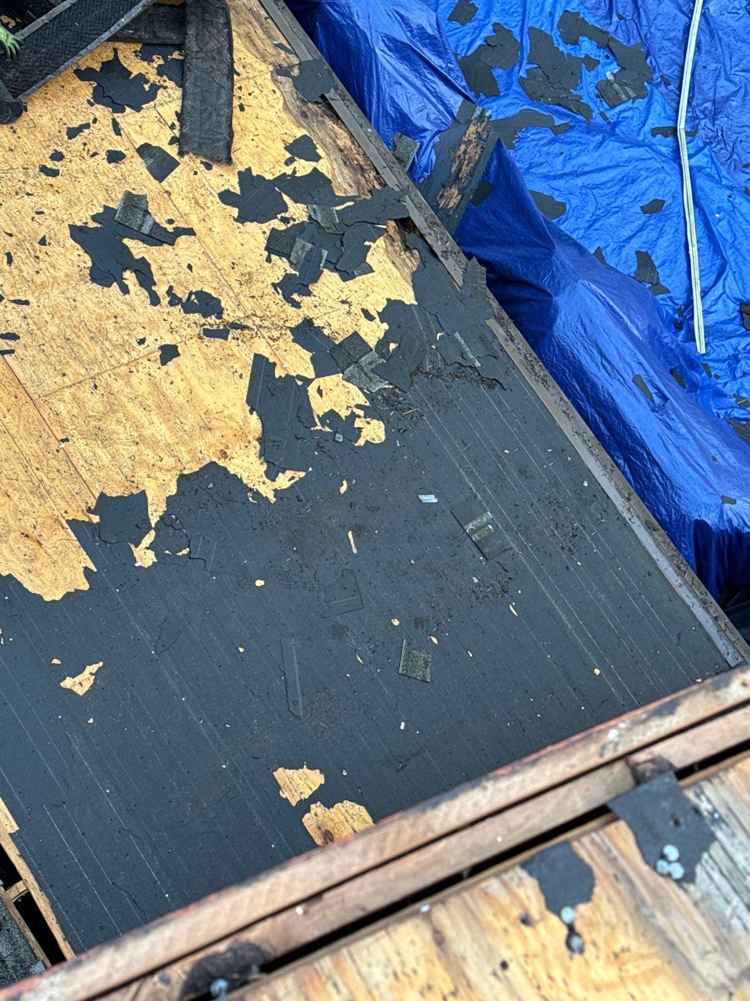 Project in Davidsonville by Elvis General Construction LLC