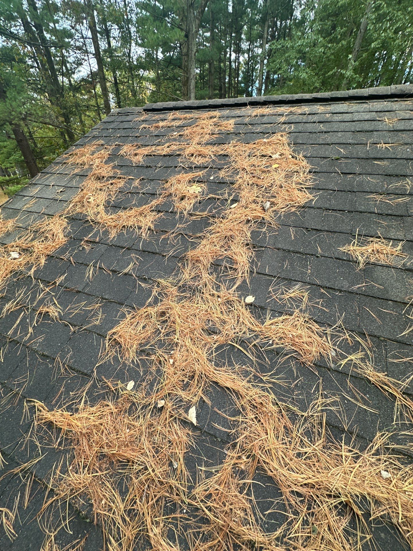 Mechanically Seamed Standing Seam Metal Roof Installation – Angola, IN by 4Ever Metal Roofing