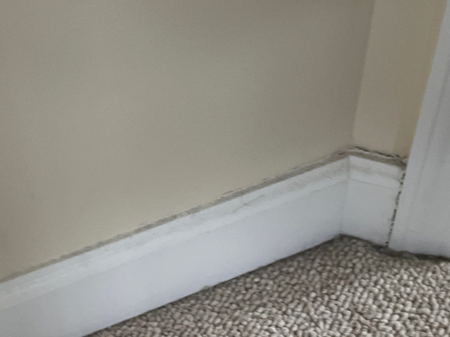 Project in Ocean City by FreshCoat Works LLC