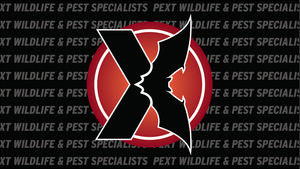 Logo for Black Widow Pest Specialists