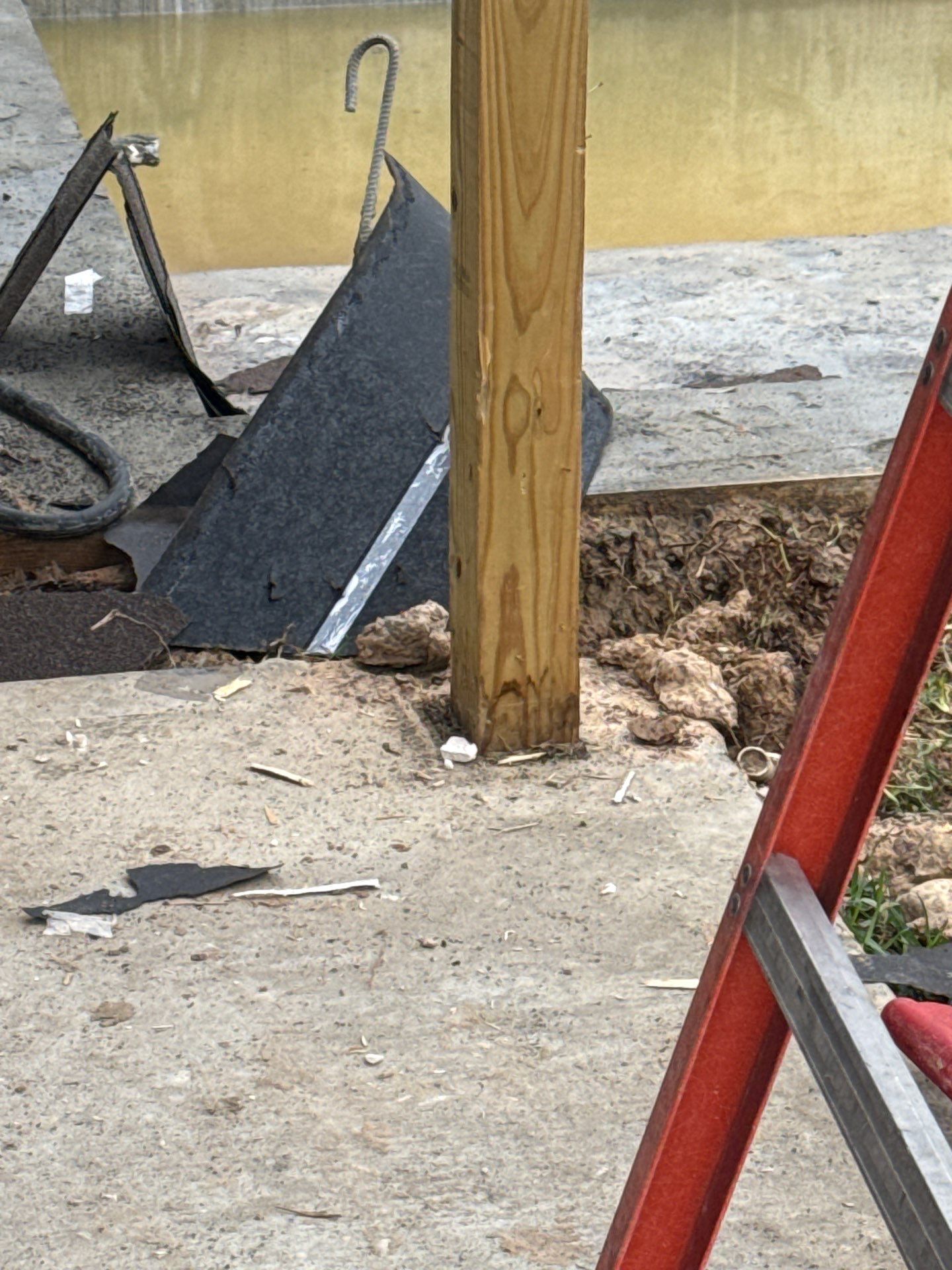 The Tatarin Family by SophAlx LLC