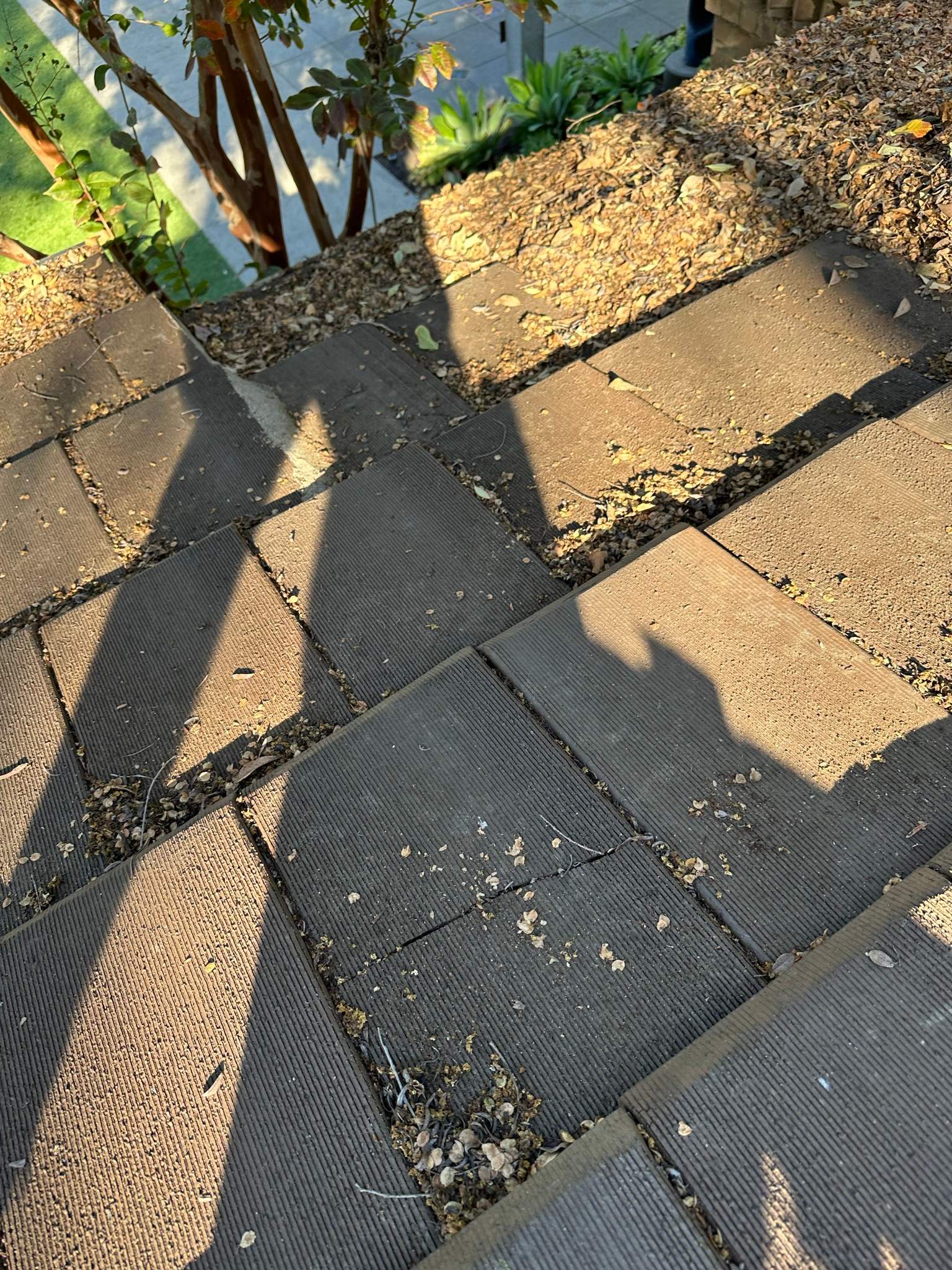 Orange County Gutter Cleaning by Property Cleaning Experts