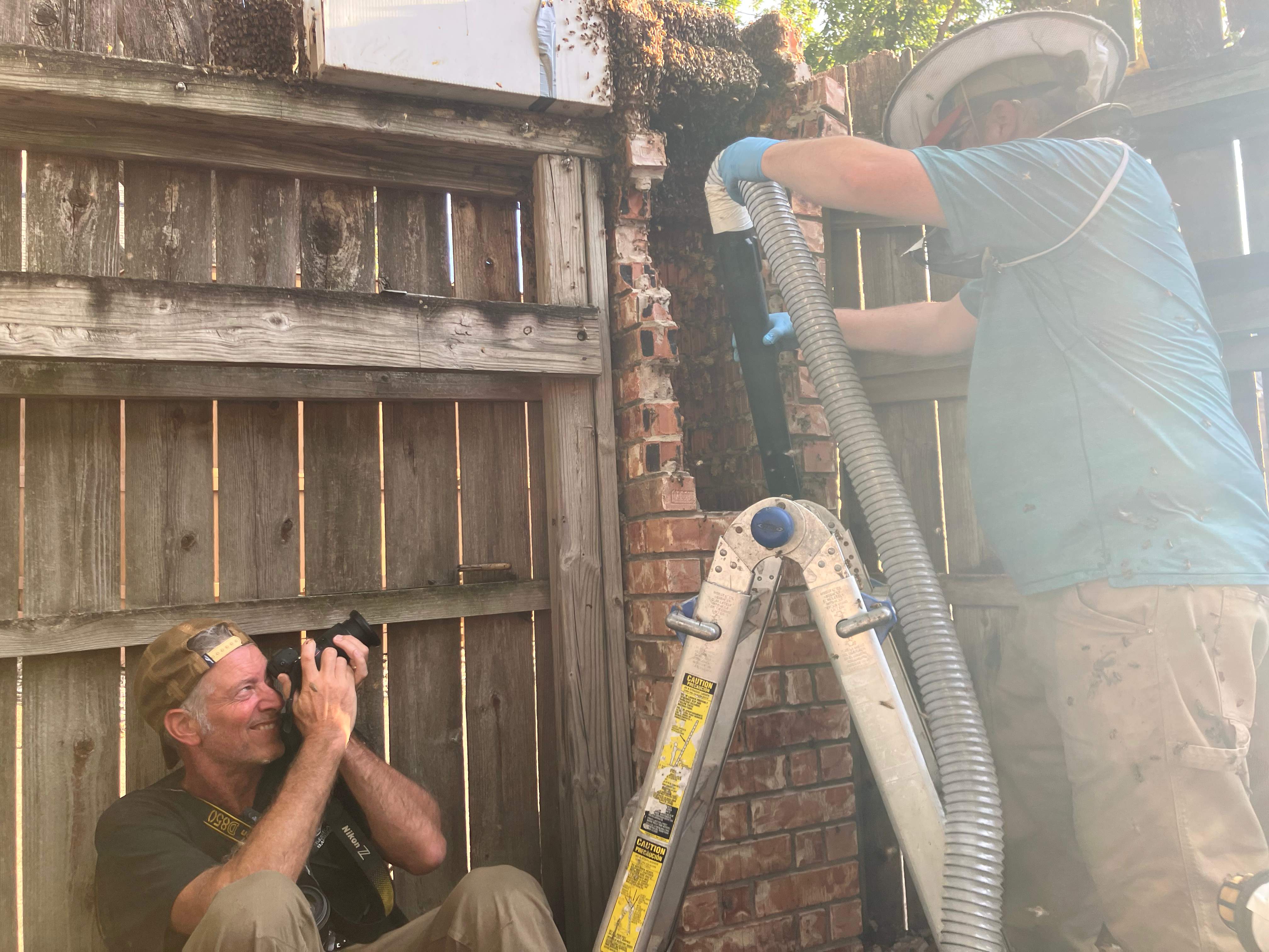 Brick Column by Rockwall Honey Bee Company